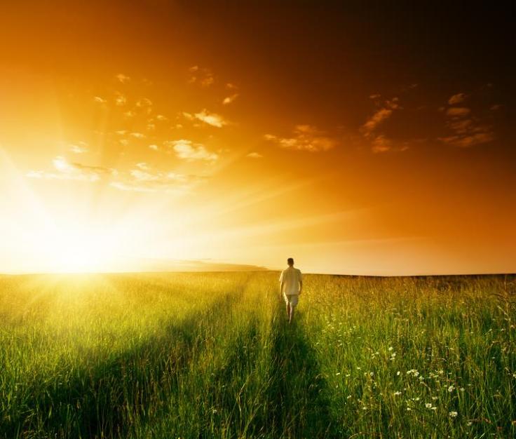 1013704_352319751561470_1392551497_n